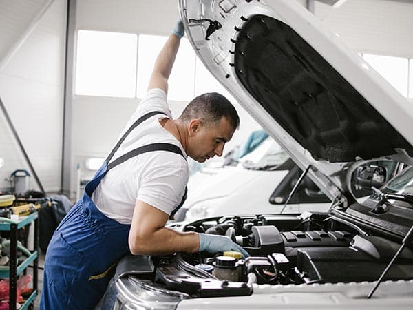 auto-a-combustione-e-elettriche